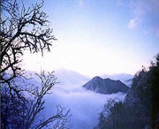 峨边天气预报60天
